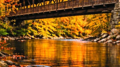 Autumn covered-bridge scene from the GoMohican brand guide