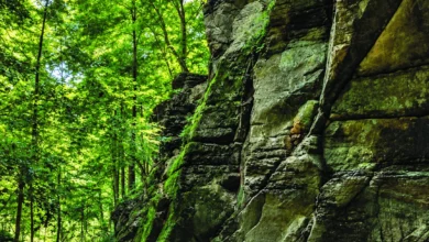 Woodland trail and rock formations from the GoMohican brand guide