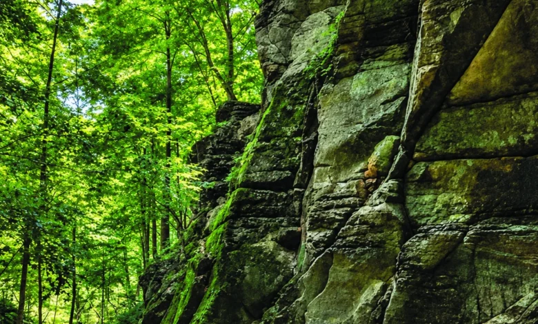 Woodland trail and rock formations from the GoMohican brand guide