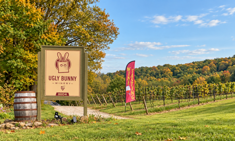 Ugly Bunny Winery